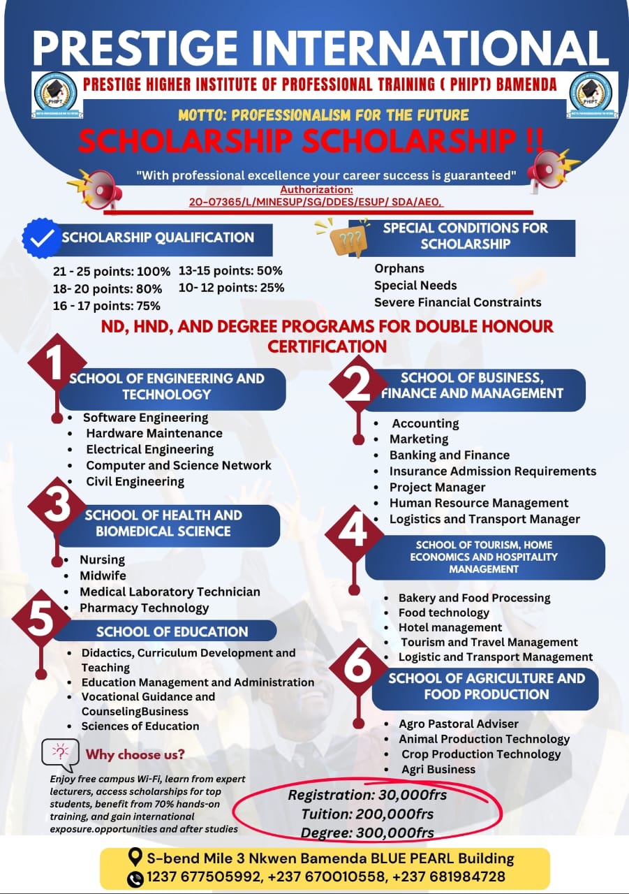 Flyer 3