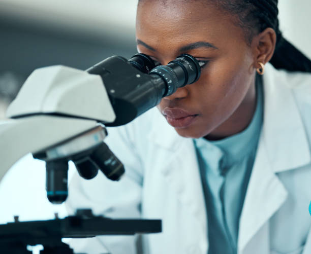 Medical Laboratory